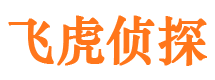 细河市调查公司